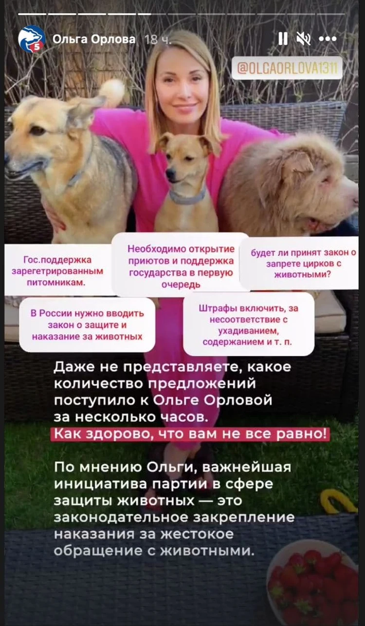 Звезды и члены партии в Instagram-аккаунте 