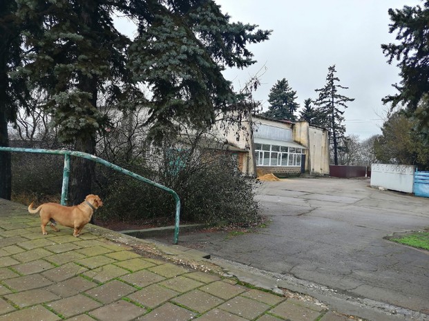 Дорожка к гостевому дому.