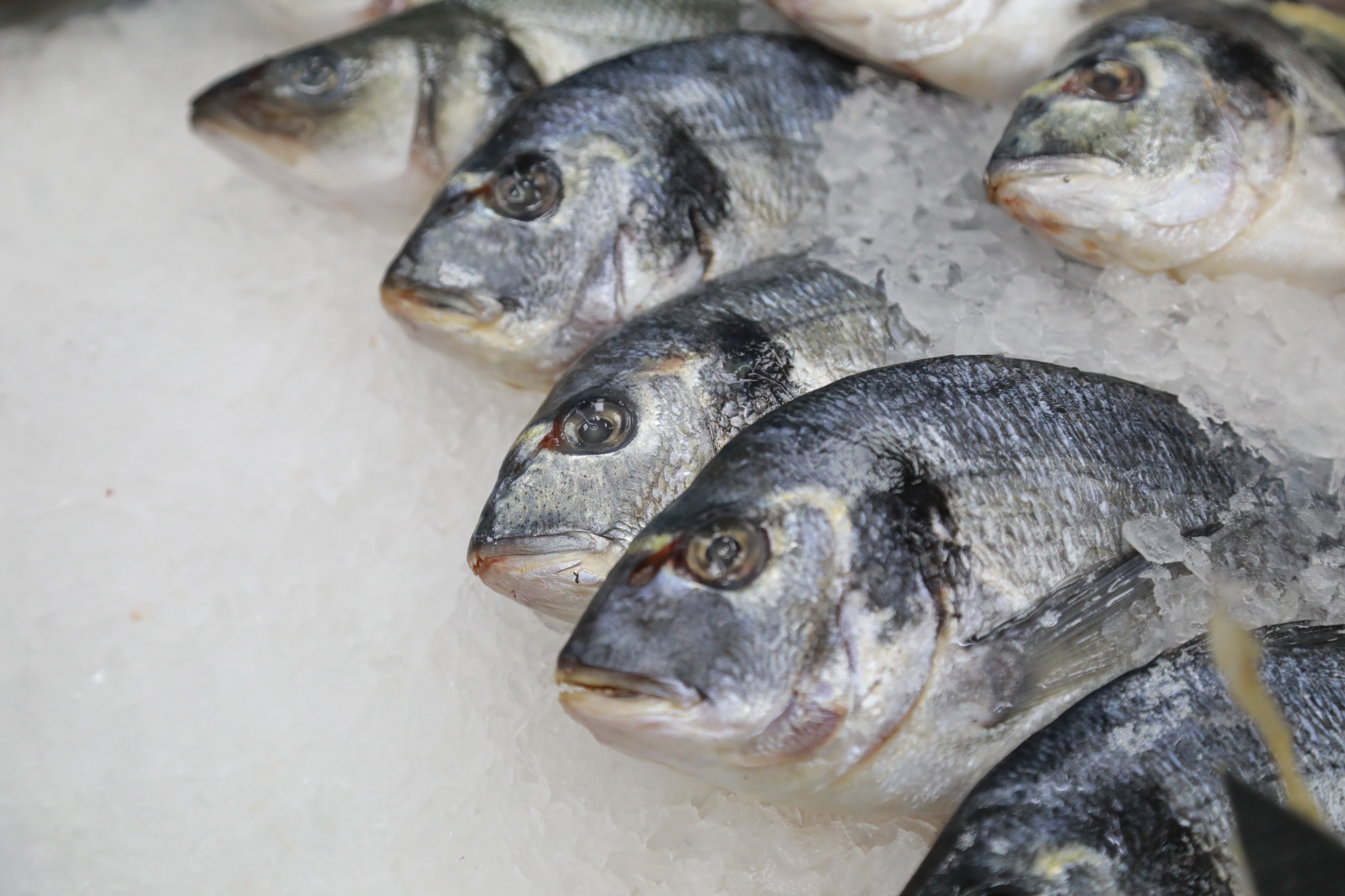 При выборе рыбы обратите внимание на глаза. Они не должны быть мутными, впалыми и высохшими