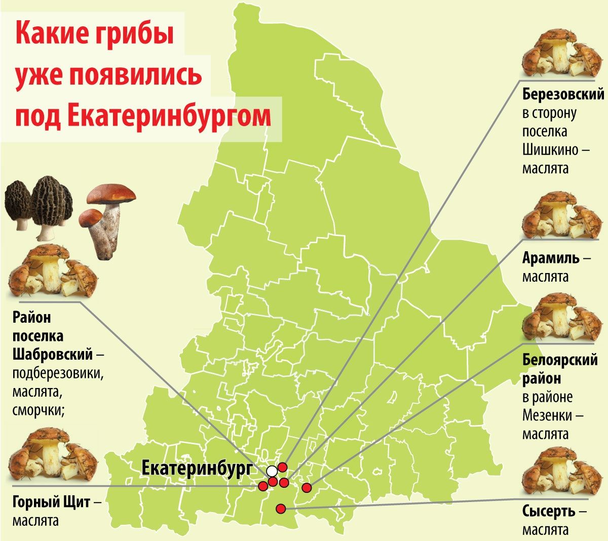 Houby se objevily už i v okolí Jekatěrinburgu, ale ne všude.