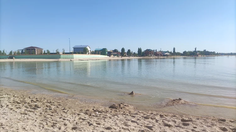 Дохлая рыба, воды по колено и море удовольствий: что ждет туристов на Павло-Очаковской косе - KP.RU