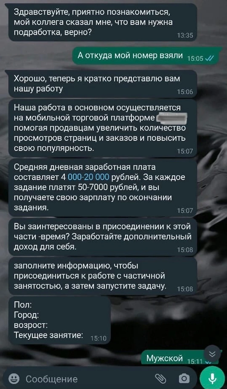 Вы великолепны, поздравляем!»: в Омской области мошенники закружили голову  парню и выманили 73 тысячи рублей - KP.RU