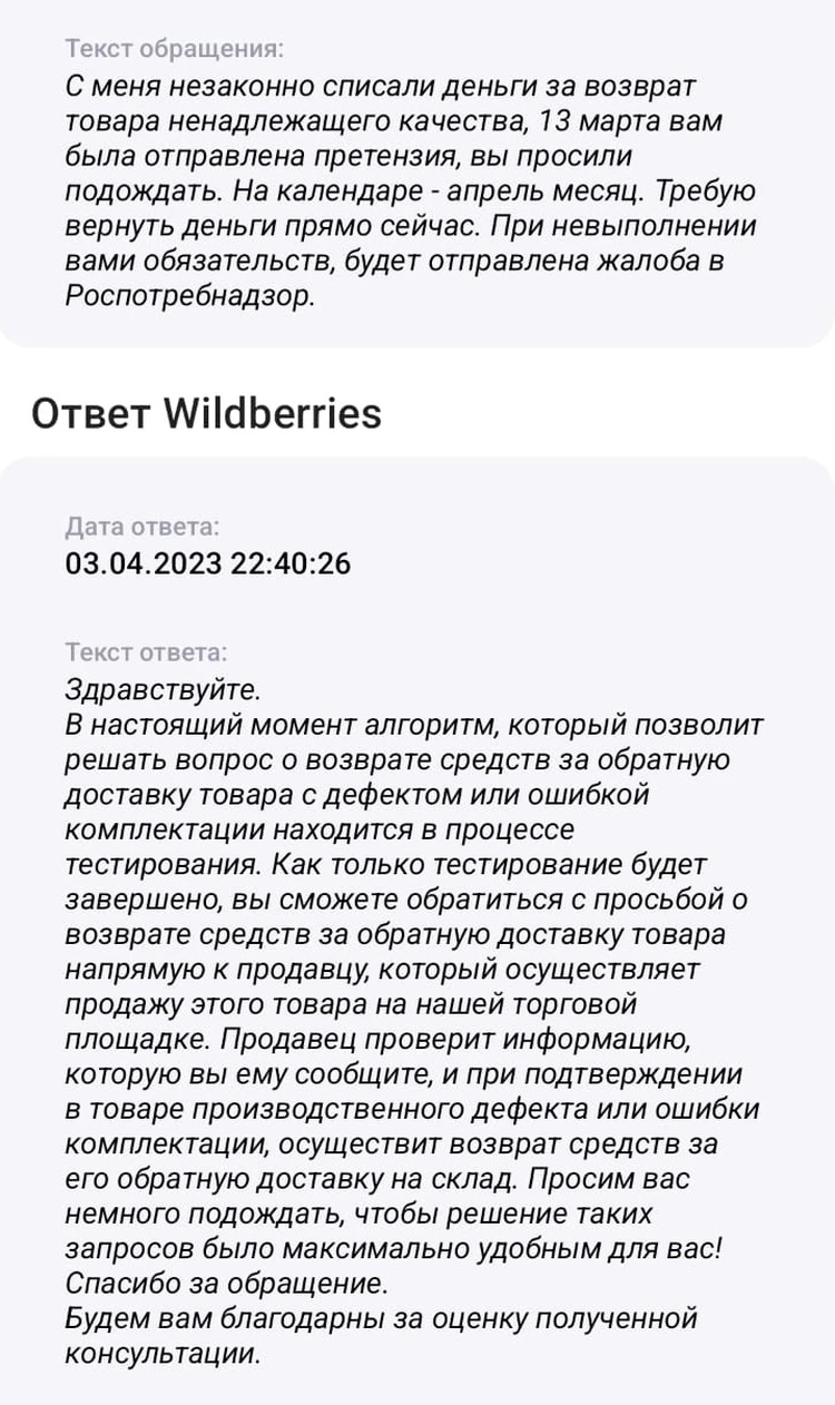Водолазка пришла с дыркой, а деньги все равно сняли: как сибирячка смогла  вернуть списанную сумму за возврат товара на Wildberries - KP.RU