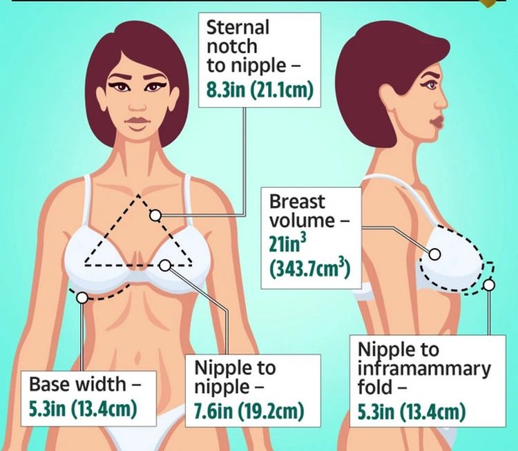 7 женщин с самой большой грудью в мире » massage-couples.ru