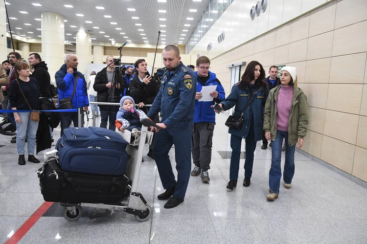 Приземлившись в ночь с 13 на 14 ноября, настрадавшиеся пассажиры смотрели на глянцевые холлы аэропорта Домодедово как маленькие дети на елку