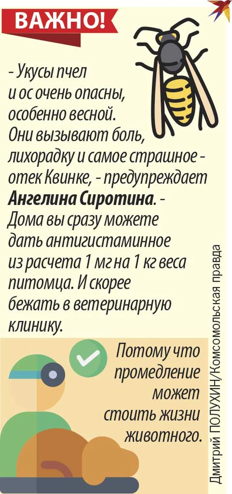 Пять шагов, которые помогут вашему любимцу встретить весну во всеоружии:  Без укола ты - букашка, а с уколом - славный пес! - KP.RU