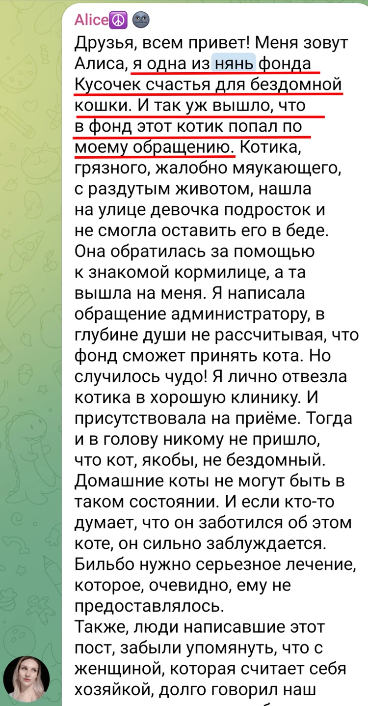 Говорят, не повезет, если кот гулять на улицу уйдет: Зоозащитники не отдают  пенсионерке украденного у нее питомца - KP.RU