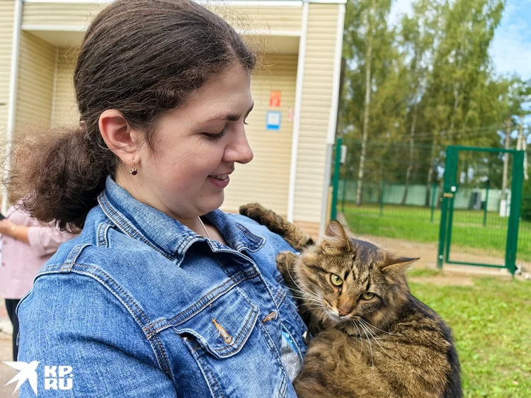 Кошачий шпион.