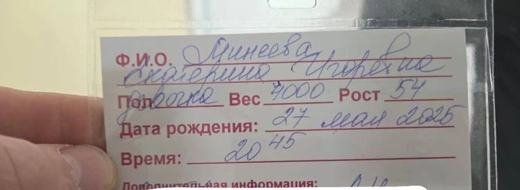 ФОТО: телеграм-канал Владимира Минеева