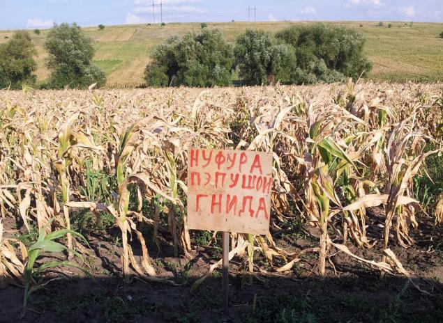 Что значит мэй на молдавском. Смотреть фото Что значит мэй на молдавском. Смотреть картинку Что значит мэй на молдавском. Картинка про Что значит мэй на молдавском. Фото Что значит мэй на молдавском