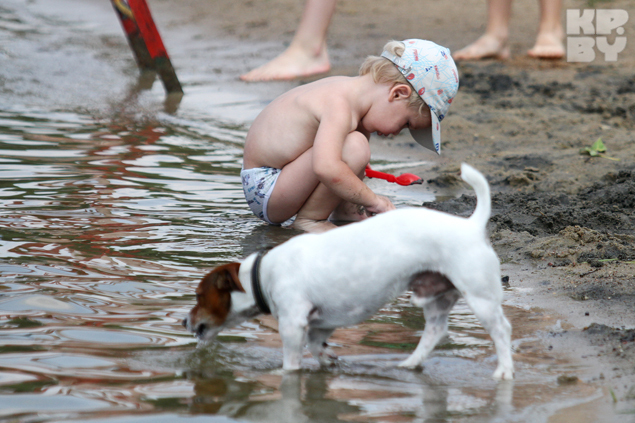 Жара в Беларуси.