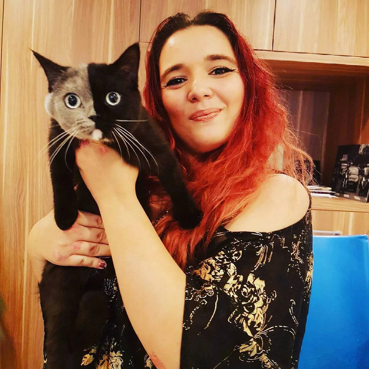 Кошки химеры